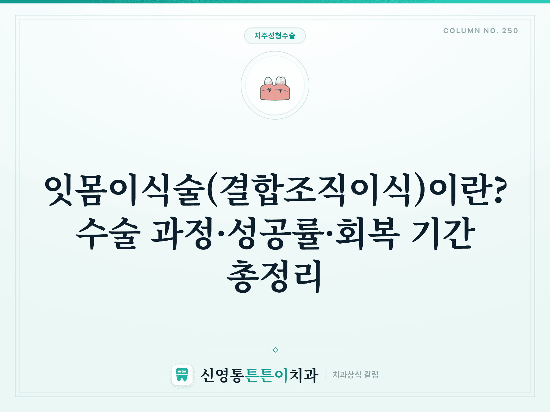 잇몸이식술(결합조직이식)이란? 수술 과정·성공률·회복 기간 총정리