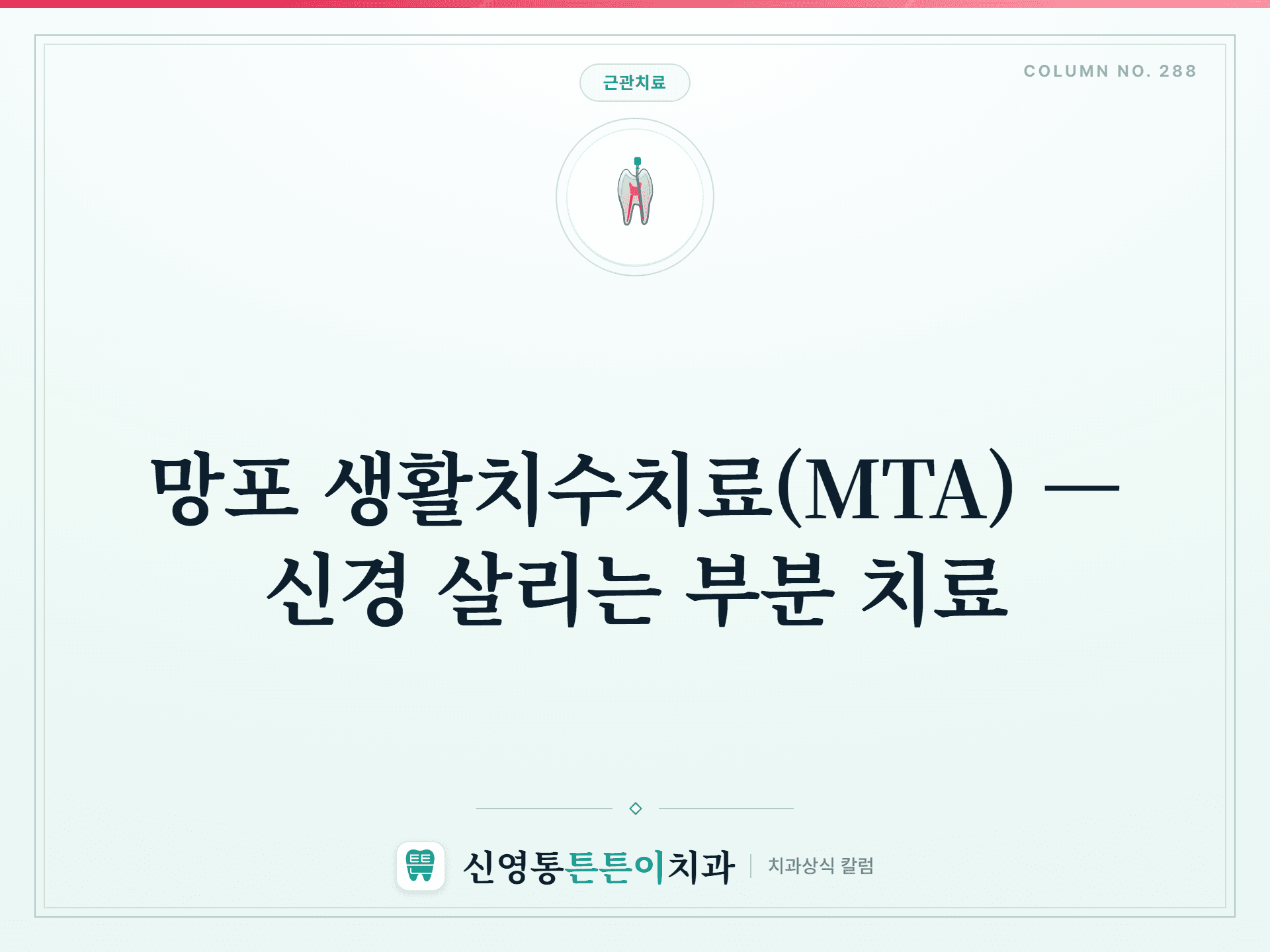 망포 생활치수치료(MTA) — 신경 살리는 부분 치료 - 근관치료 | 신영통튼튼이치과 칼럼